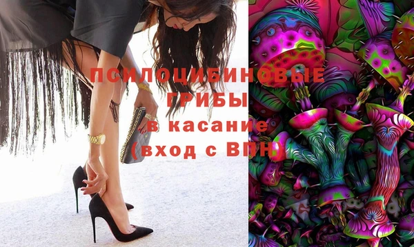 прущий лед Краснослободск