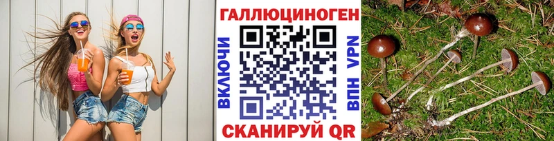 Купить где  Фёдоровский  Галлюциногенные грибы мухоморы 
